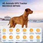 Animals Gps Tracking Device Micodus MP50G Long Standby Smart Real Time Location Gps Dog Collar Pets Gps Tracker 4G