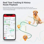 Animals Gps Tracking Device Micodus MP50G Long Standby Smart Real Time Location Gps Dog Collar Pets Gps Tracker 4G