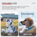 Dogs Cats GPS Tacker IP67 Waterproof Small Pet 4G Tracking Device WIFI Positioning Activity Monitoring MP80G Animals GPS Locator